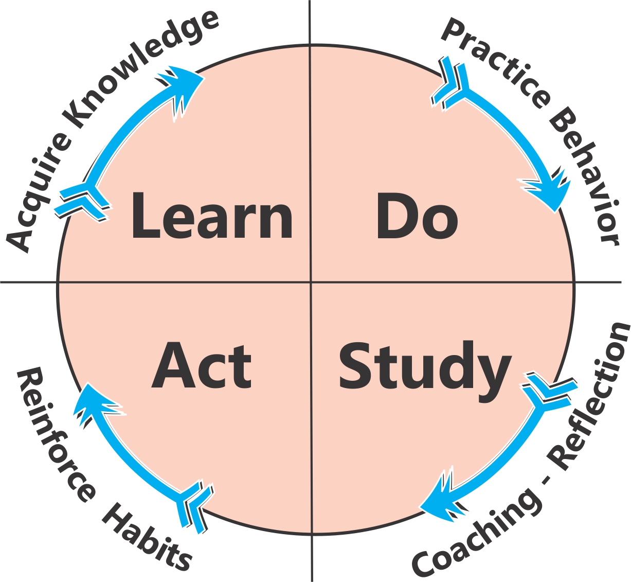 How to Build Lean Systems of Organizational Learning